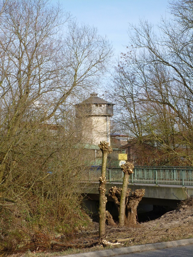 Kradepohlsmühle - 2012